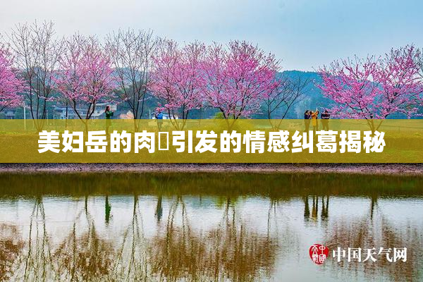 美妇岳的肉泬引发的情感纠葛揭秘