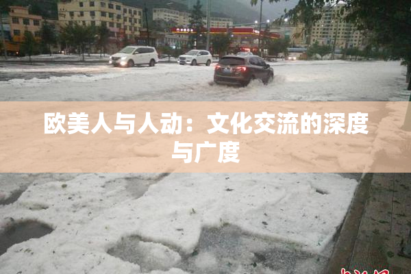 欧美人与人动：文化交流的深度与广度