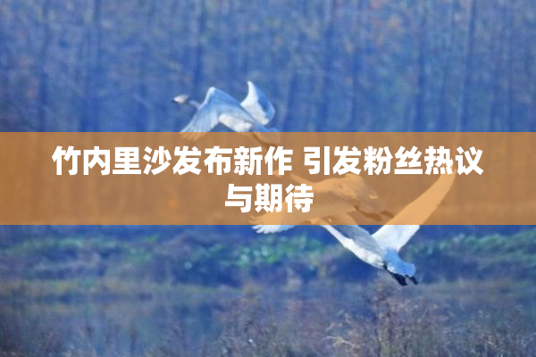 竹内里沙发布新作 引发粉丝热议与期待