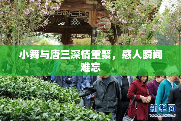 小舞与唐三深情重聚，感人瞬间难忘