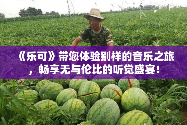 《乐可》带您体验别样的音乐之旅，畅享无与伦比的听觉盛宴！