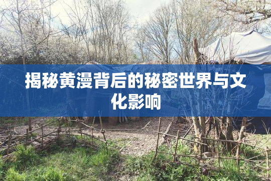 揭秘黄漫背后的秘密世界与文化影响