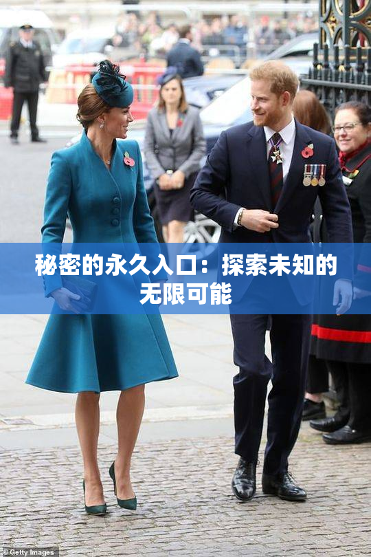 秘密的永久入口：探索未知的无限可能