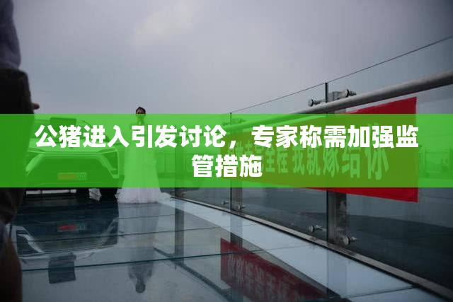 公猪进入引发讨论，专家称需加强监管措施