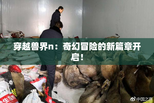 穿越兽界n：奇幻冒险的新篇章开启！
