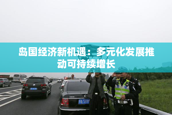 岛国经济新机遇：多元化发展推动可持续增长