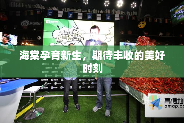 海棠孕育新生，期待丰收的美好时刻