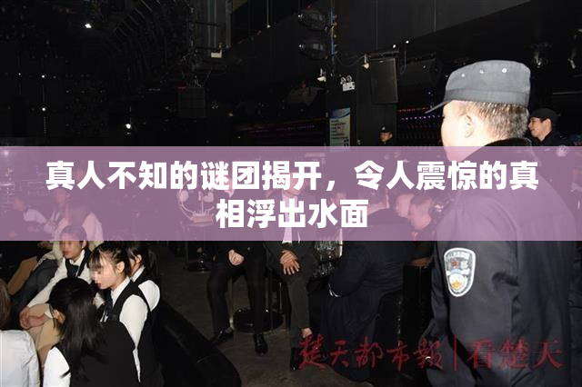 真人不知的谜团揭开，令人震惊的真相浮出水面