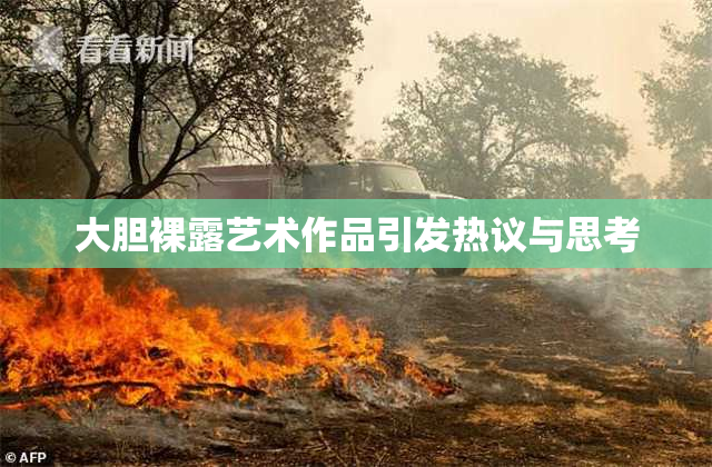 大胆裸露艺术作品引发热议与思考