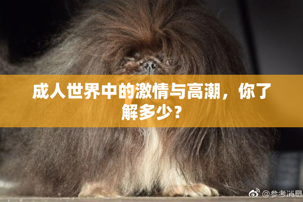 成人世界中的激情与高潮，你了解多少？