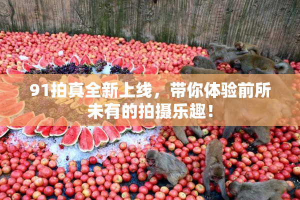 91拍真全新上线，带你体验前所未有的拍摄乐趣！