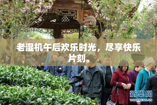 老湿机午后欢乐时光，尽享快乐片刻。