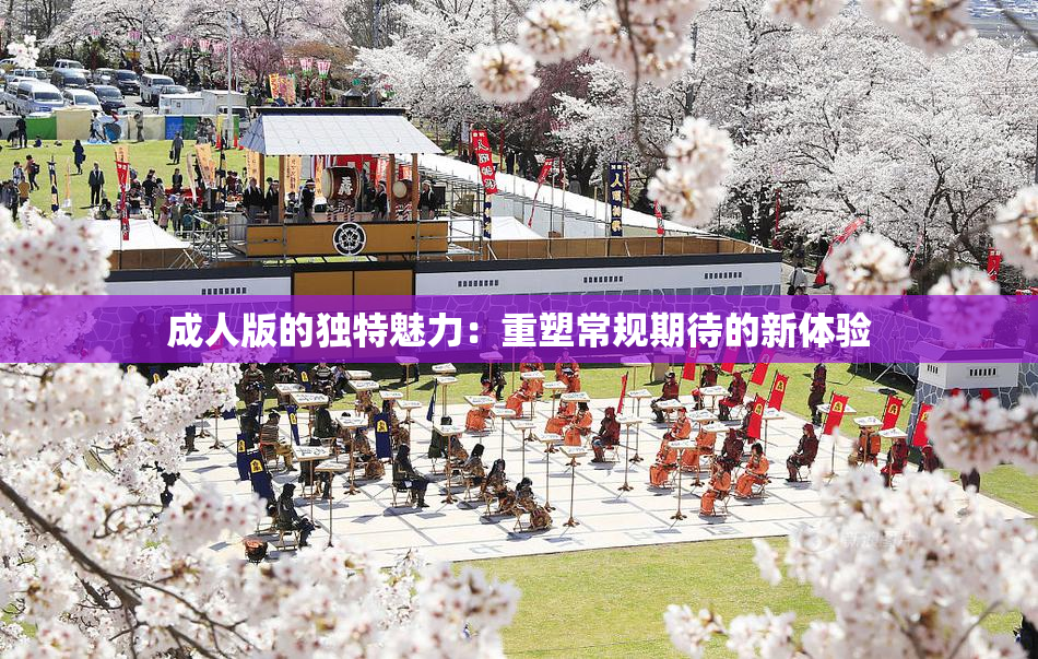 成人版的独特魅力：重塑常规期待的新体验