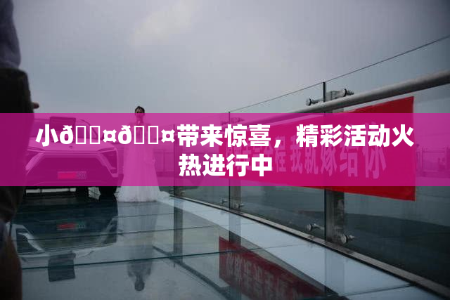 小🐤🐤带来惊喜，精彩活动火热进行中