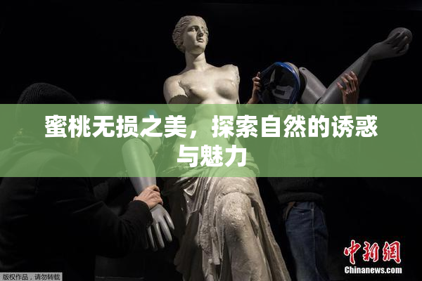 蜜桃无损之美，探索自然的诱惑与魅力