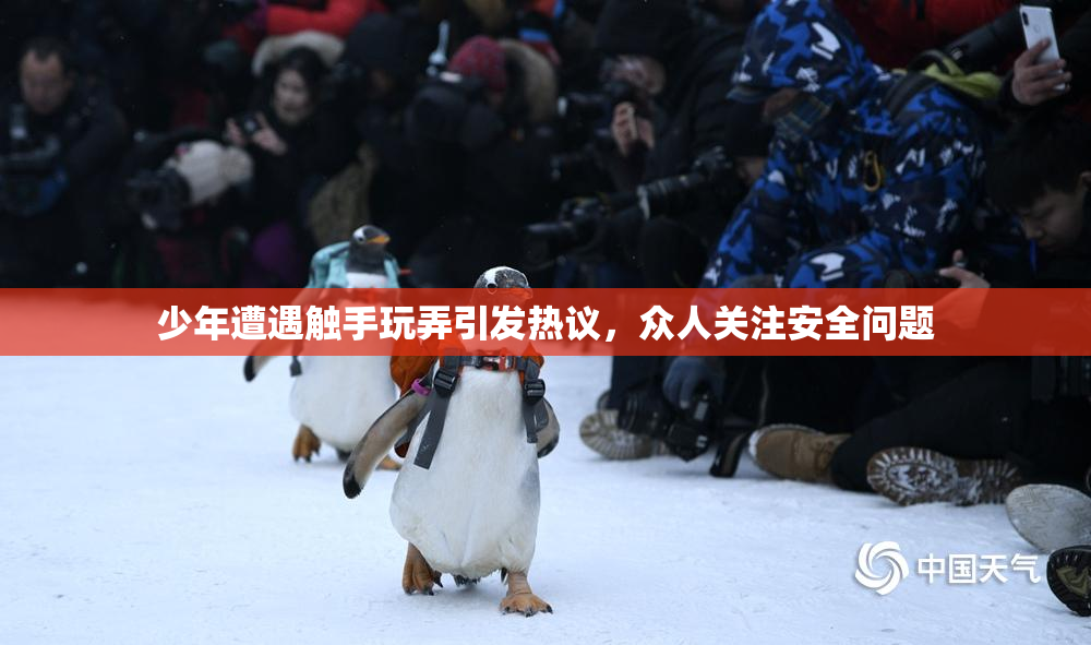 少年遭遇触手玩弄引发热议，众人关注安全问题