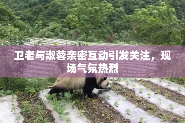 卫老与淑蓉亲密互动引发关注，现场气氛热烈