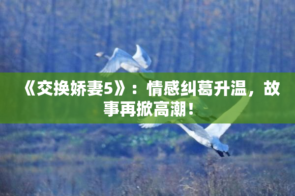 《交换娇妻5》：情感纠葛升温，故事再掀高潮！