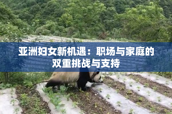 亚洲妇女新机遇：职场与家庭的双重挑战与支持