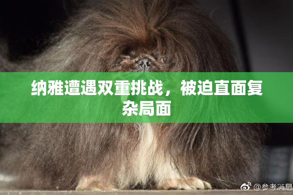 纳雅遭遇双重挑战，被迫直面复杂局面