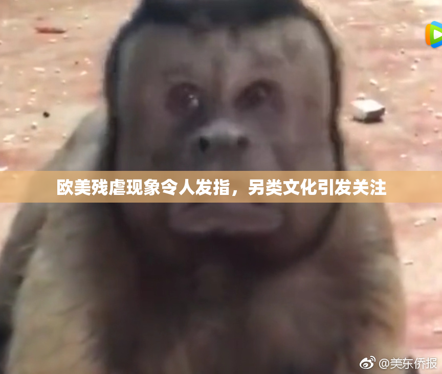 欧美残虐现象令人发指，另类文化引发关注