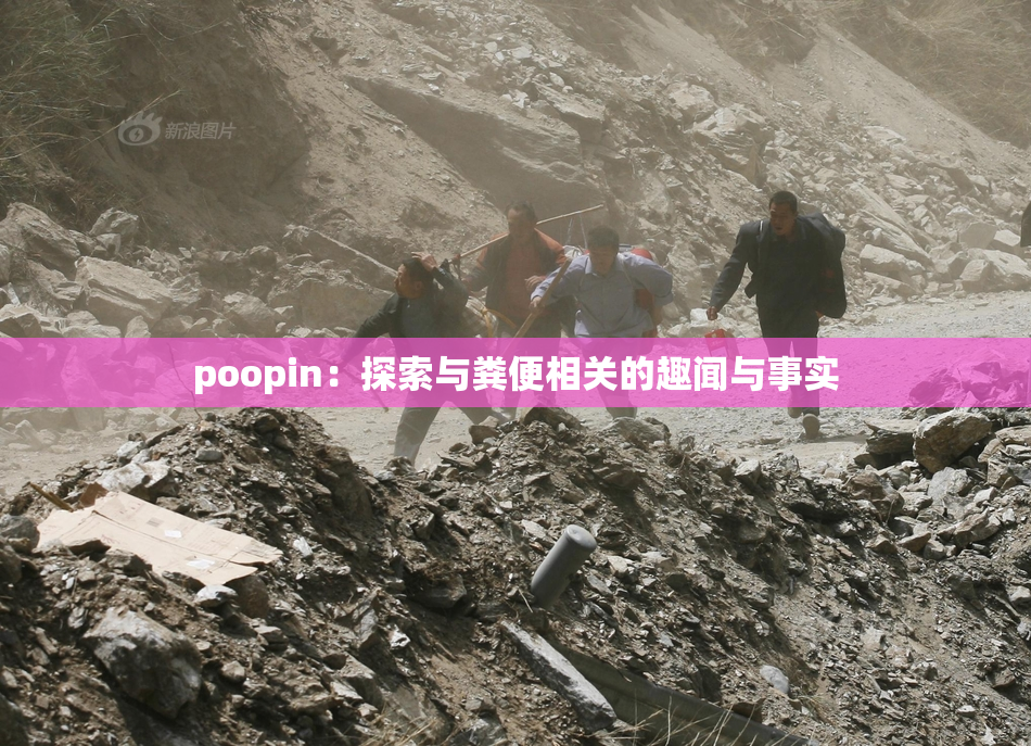 poopin：探索与粪便相关的趣闻与事实