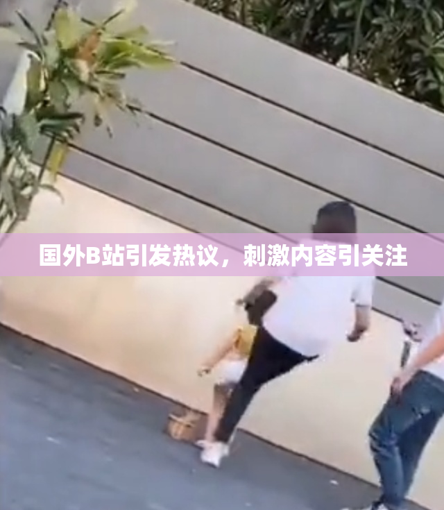 国外B站引发热议，刺激内容引关注