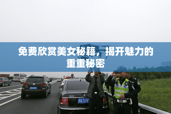 免费欣赏美女秘籍，揭开魅力的重重秘密