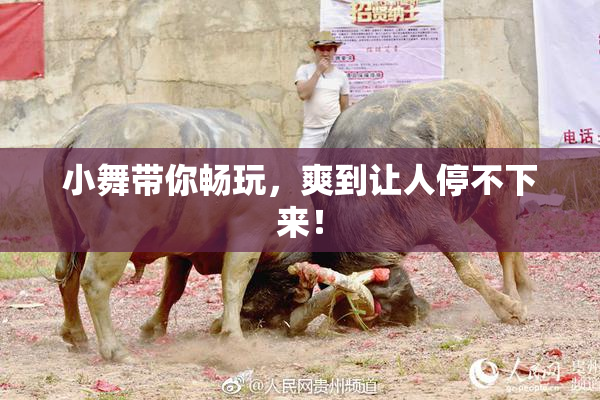 小舞带你畅玩，爽到让人停不下来！