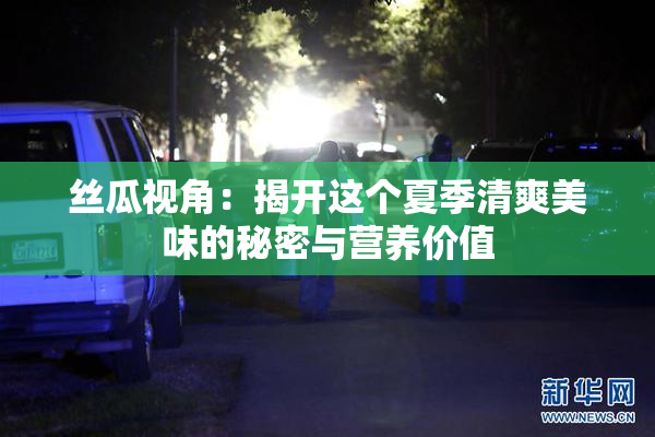 丝瓜视角：揭开这个夏季清爽美味的秘密与营养价值