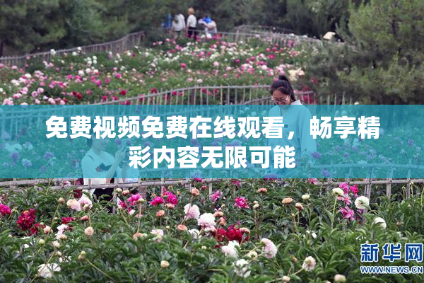 免费视频免费在线观看，畅享精彩内容无限可能