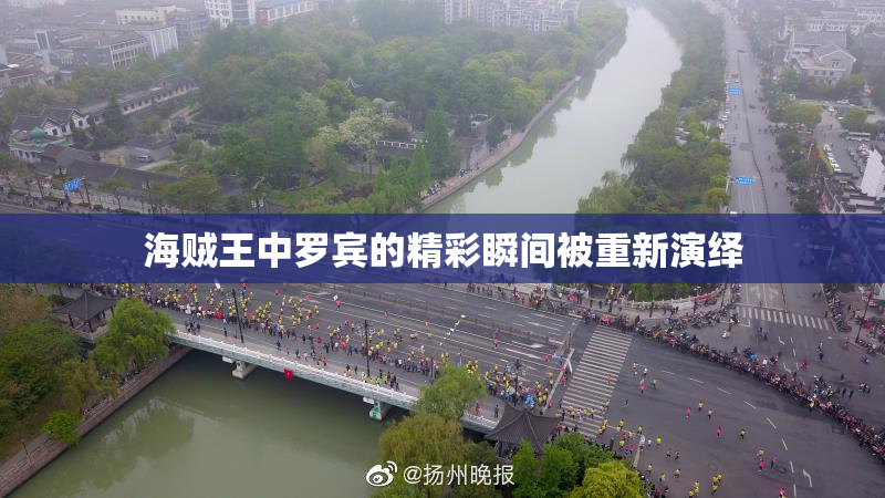 海贼王中罗宾的精彩瞬间被重新演绎
