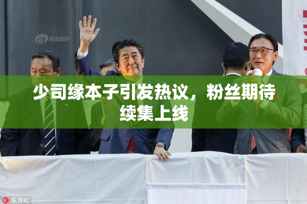 少司缘本子引发热议，粉丝期待续集上线