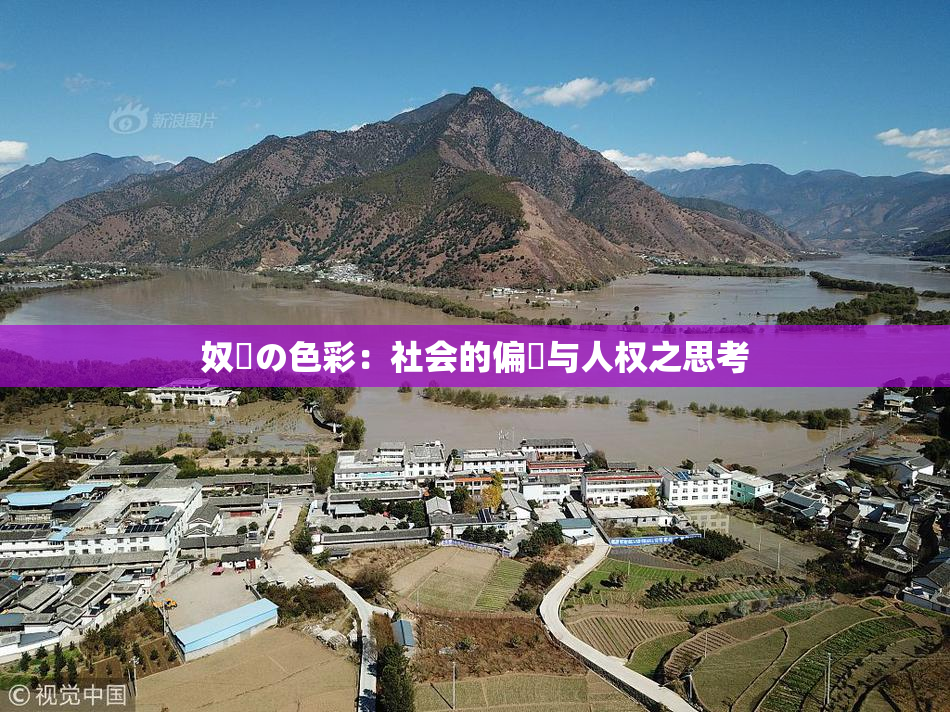 奴隷の色彩：社会的偏見与人权之思考