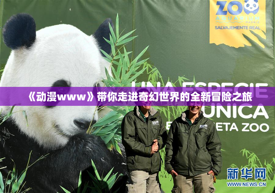 《动漫www》带你走进奇幻世界的全新冒险之旅