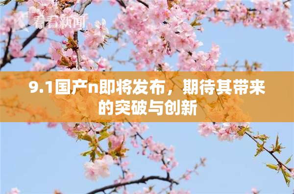 9.1国产n即将发布，期待其带来的突破与创新