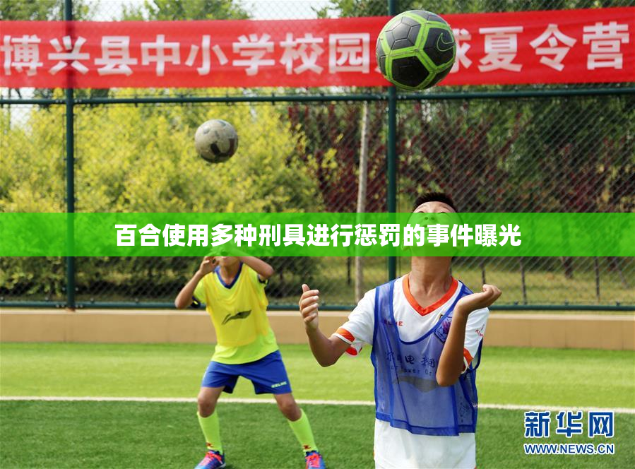 百合使用多种刑具进行惩罚的事件曝光