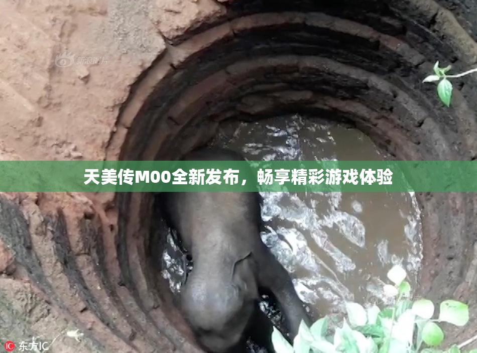 天美传M00全新发布，畅享精彩游戏体验
