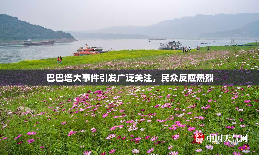 巴巴塔大事件引发广泛关注，民众反应热烈