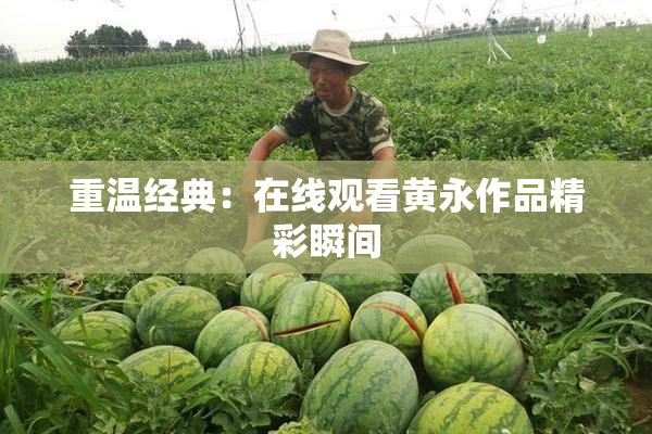 重温经典：在线观看黄永作品精彩瞬间