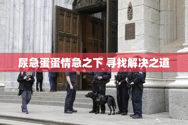 尿急蛋蛋情急之下 寻找解决之道