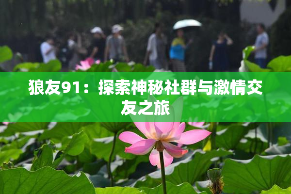 狼友91：探索神秘社群与激情交友之旅