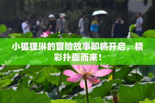 小狐狸琳的冒险故事即将开启，精彩扑面而来！