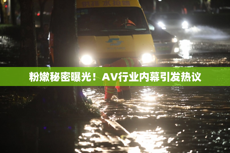 粉嫩秘密曝光！AV行业内幕引发热议