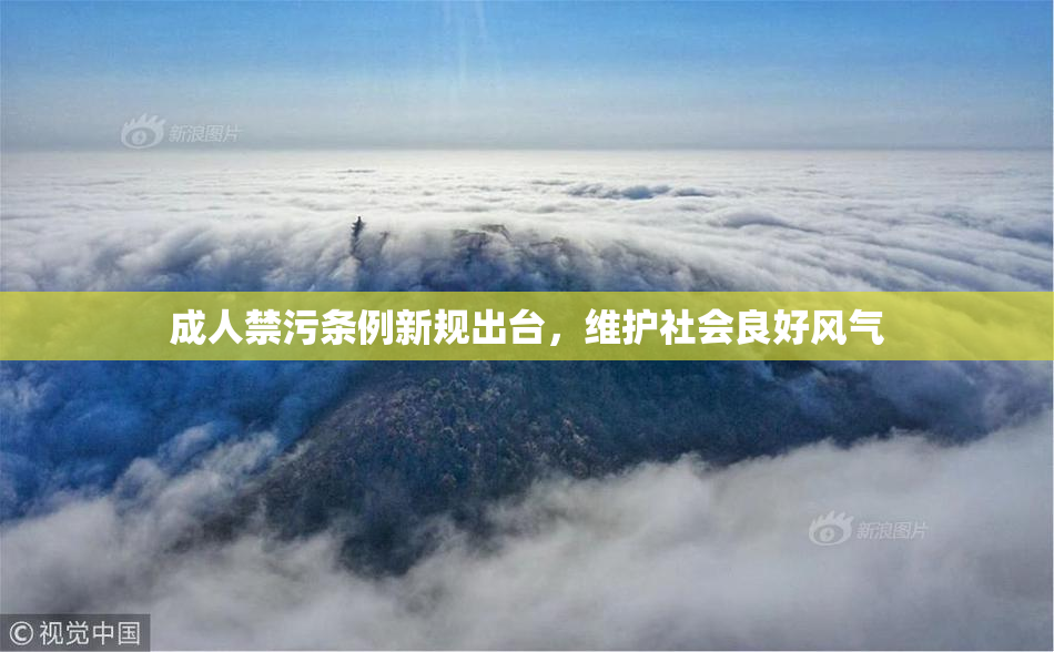 成人禁污条例新规出台，维护社会良好风气