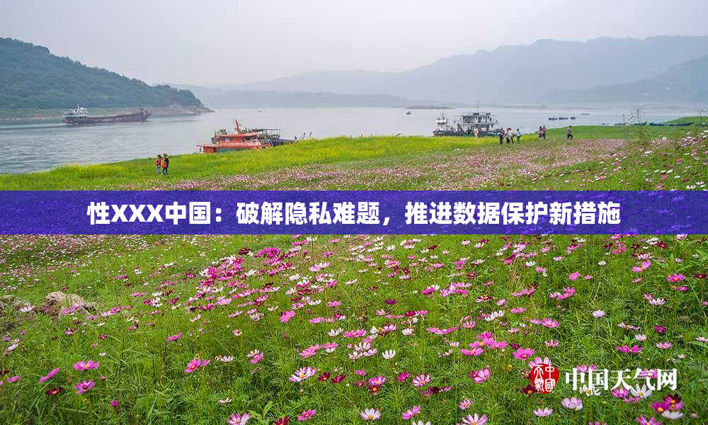 性XXX中国：破解隐私难题，推进数据保护新措施