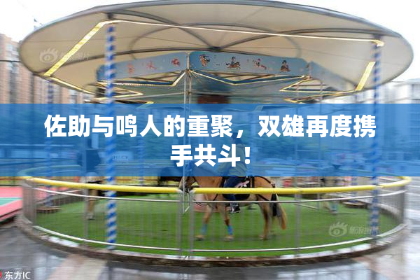 佐助与鸣人的重聚，双雄再度携手共斗！