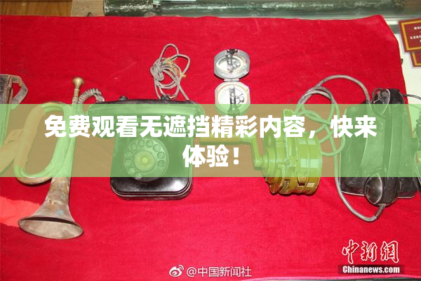 免费观看无遮挡精彩内容，快来体验！