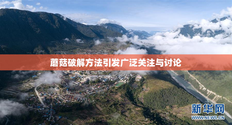 蘑菇破解方法引发广泛关注与讨论