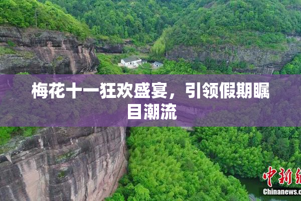 梅花十一狂欢盛宴，引领假期瞩目潮流